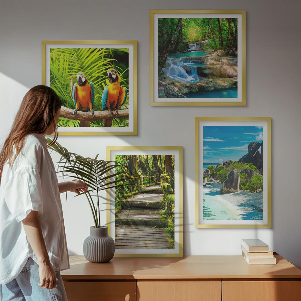BILDER SET 4er Set - 50x50 cm & 40x60 cm Goldrahmen - Tropischer Wald Papageienwasserfall - Goldfarben, Kunststoff (50/50cm) - TULUP