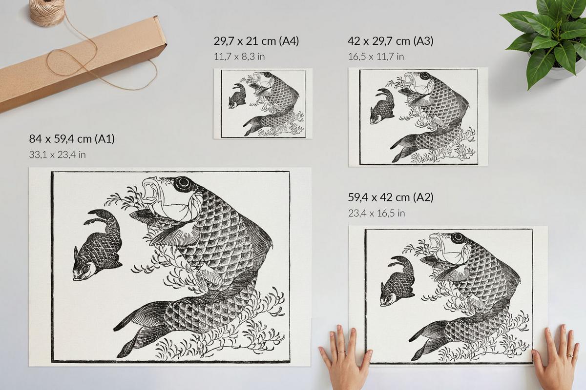 POSTER - 29x21 cm (A4) - Hokusai - Karpfen - Schwarz, Textil (29.7/21/0.1cm) - TULUP