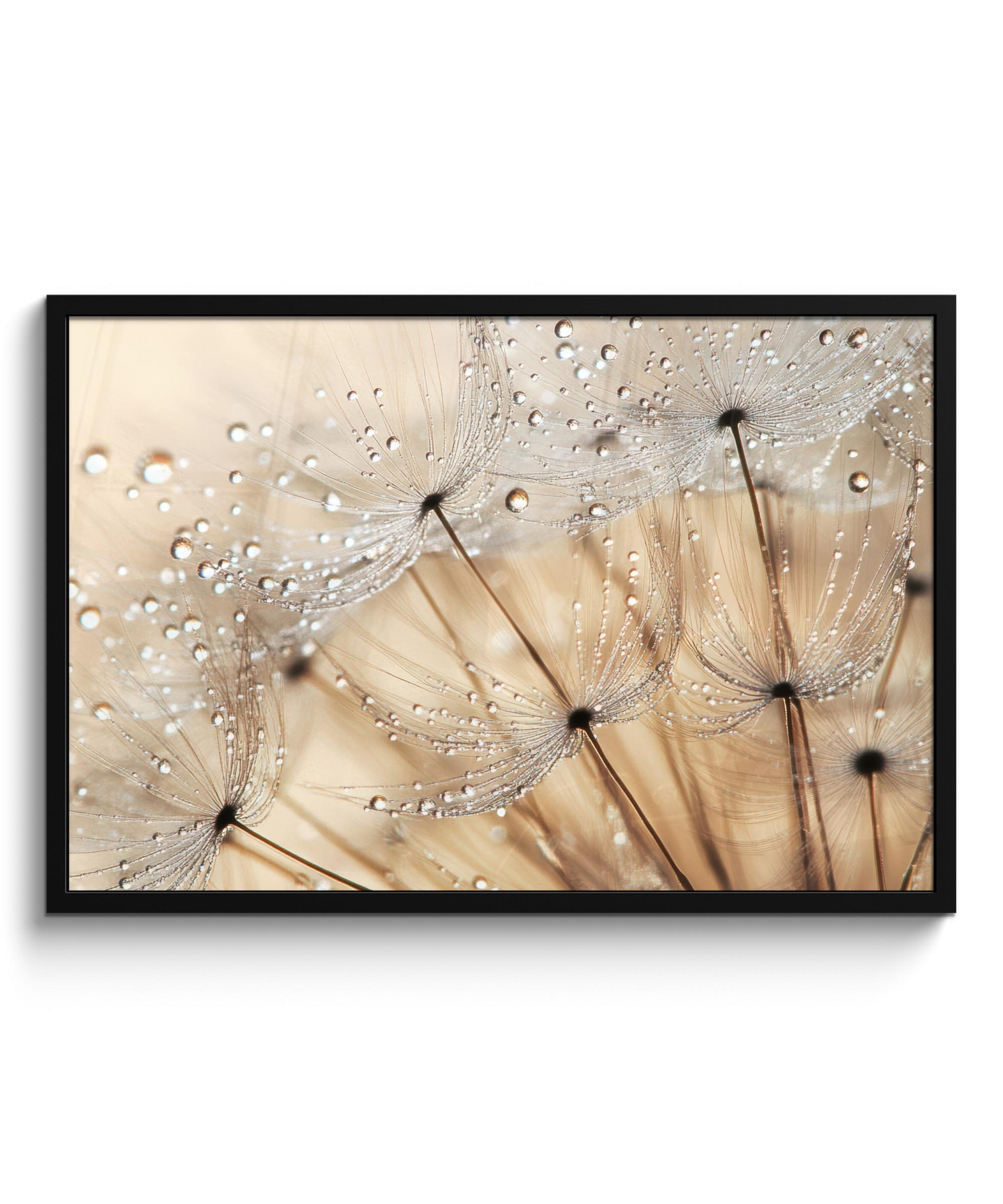 POSTER MIT RAHMENGERAHMTES BILD Löwenzahn - Abstrakt - Natur - Beige 90x60 cm - Braun, Papier (90/60cm) - MuchoWow