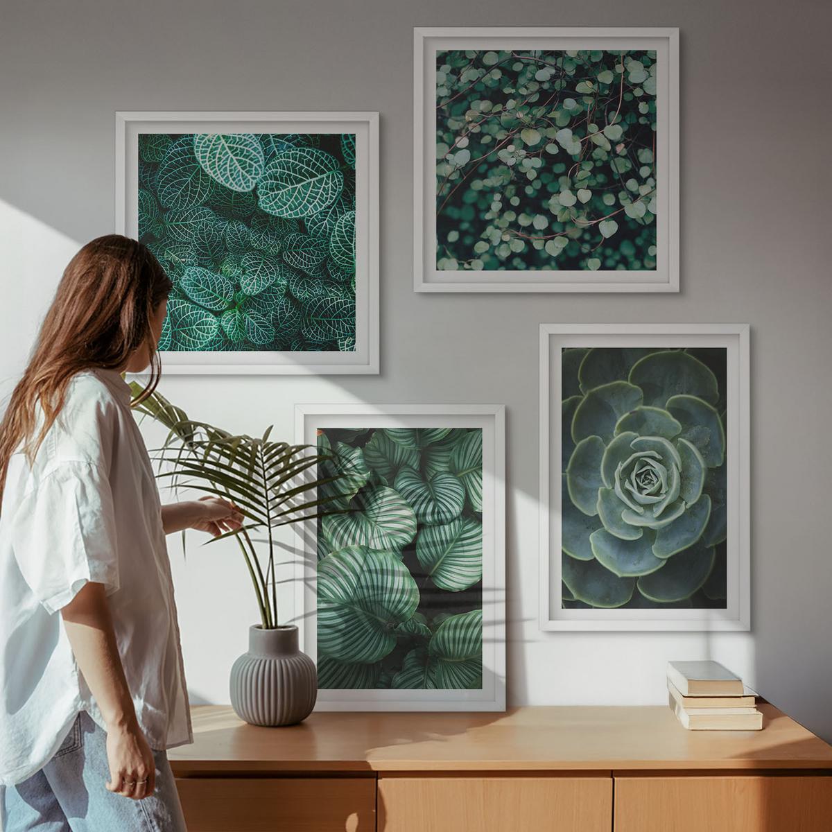 BILDER SET 4er Set - 50x50 cm & 40x60 cm Weißer Rahmen - Grüne Blätter von eleganten Sukkulenten - Weiß, Kunststoff (50/50cm) - TULUP