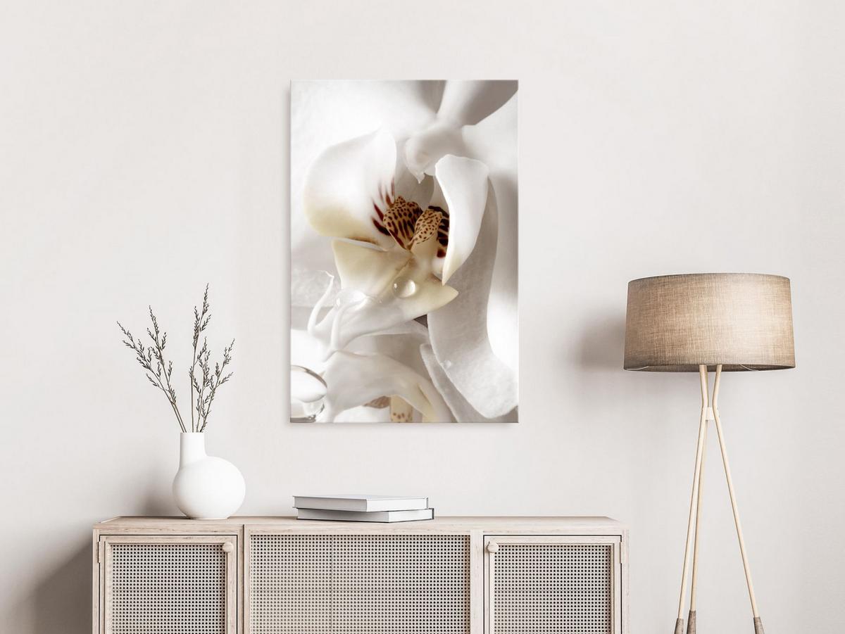 KUNSTDRUCK Weiß 80/120 cm - Weiß/Braun, Textil (80/120cm) - KUNSTLOFT