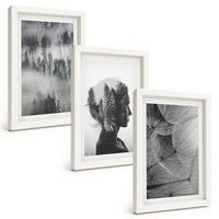 BILDER SET 3er Set - 20x30 cm Weißer Rahmen - Waldnebelporträt Baum Löwenzahn - Weiß, Kunststoff (20/30cm) - TULUP