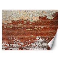VLIESTAPETE Rot 400/280 cm - Rot, Textil (400/280cm) - KUNSTLOFT