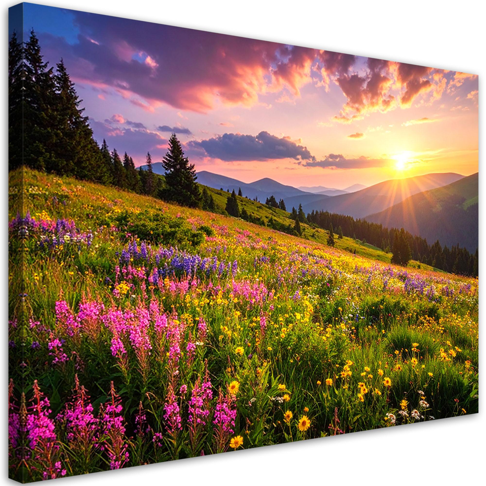 LEINWANDBILD Wiese Blumen Berglandschaft Natur 120x80cm - Multicolor, Textil (120/80cm) - Feeby