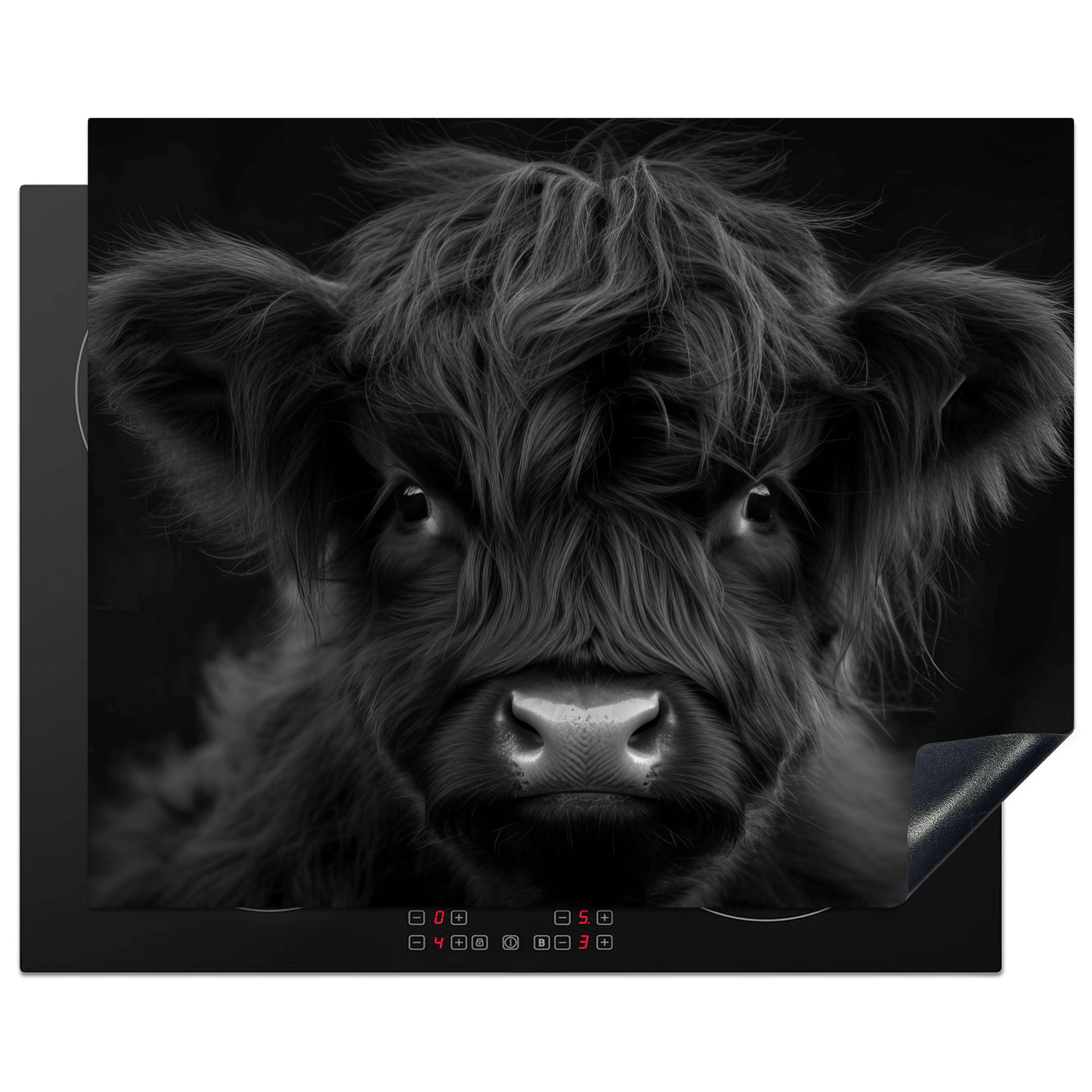 HERDABDECKPLATTE Scottish Highlander - Schwarz - Kalb - Kuh Herdabdeckung Induktionsfeld 65x52 cm - Schwarz, Kunststoff (65/52/0.2cm) - MuchoWow