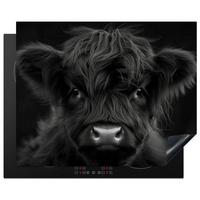 HERDABDECKPLATTE Scottish Highlander - Schwarz - Kalb - Kuh Herdabdeckung Induktionsfeld 65x52 cm - Schwarz, Kunststoff (65/52/0.2cm) - MuchoWow