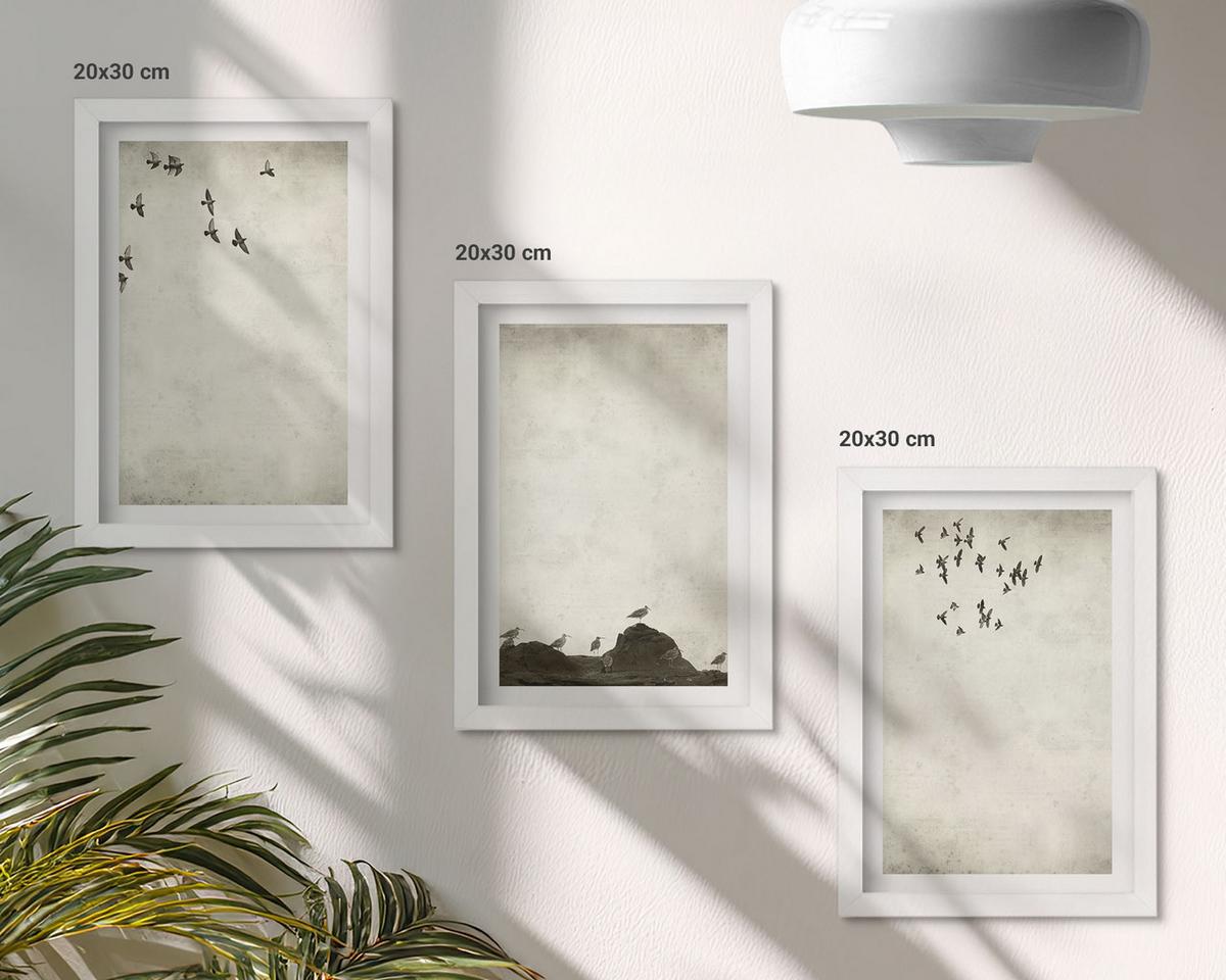 BILDER SET 3er Set - 20x30 cm Weißer Rahmen - Fliegende Vögel Minimalismus - Weiß, Kunststoff (20/30cm) - TULUP