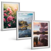 BILDER SET 3er Set - 40x60 cm Silberner Rahmen - Blumengarten Berge Wasser - Silberfarben, Kunststoff (40/60cm) - TULUP