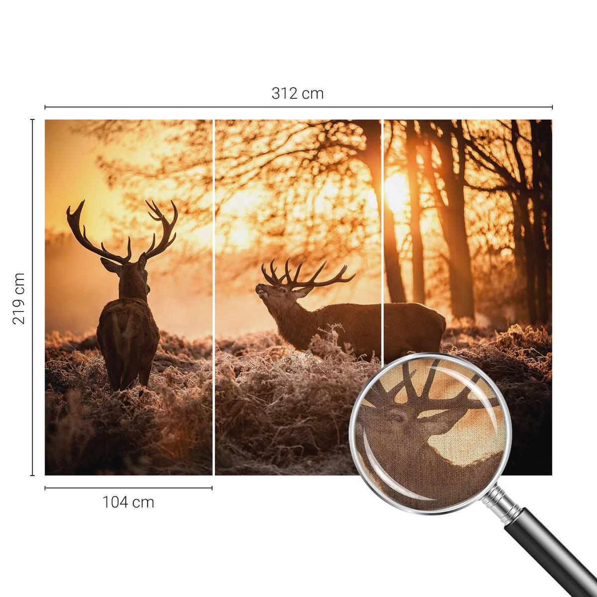 FOTOTAPETE 312x219 cm - Rehe am Morgen - Schwarz, Textil (312/219cm) - Wallfluent