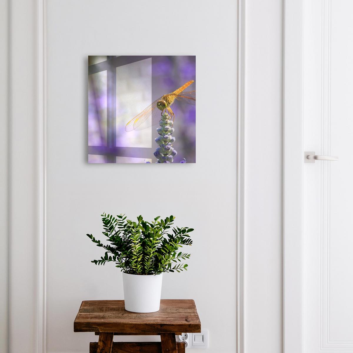 SCHLÜSSELBOX Schwarz 30x30 cm- Türöffnung nach rechts - Libelle auf einer Blume - Lila, Metall (30/30/5cm) - TULUP