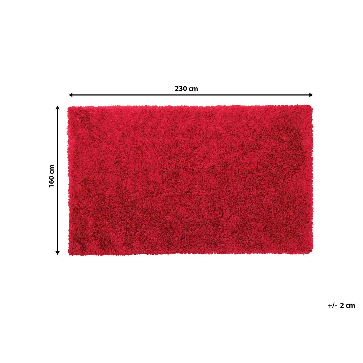 SHAGGY-TEPPICH Cide 230/160 cm - Rot, Kunststoff (160/230cm) - Beliani