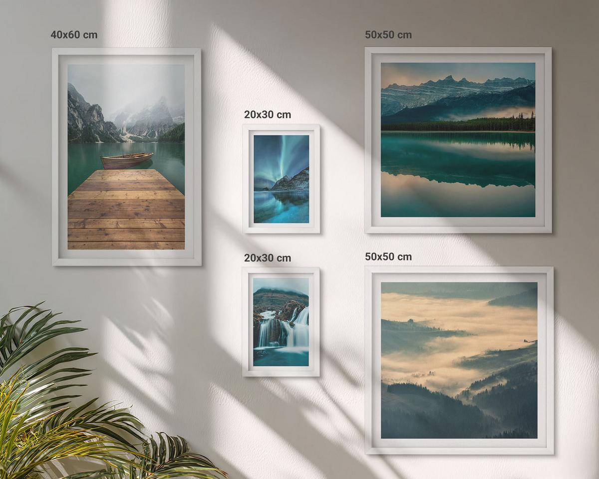 BILDER SET 5er Set - 50x50 cm & 20x30 cm & 40x60 cm Weißer Rahmen - Abstrakte Monstera-Palmenblätter - Weiß, Kunststoff (40/60cm) - TULUP