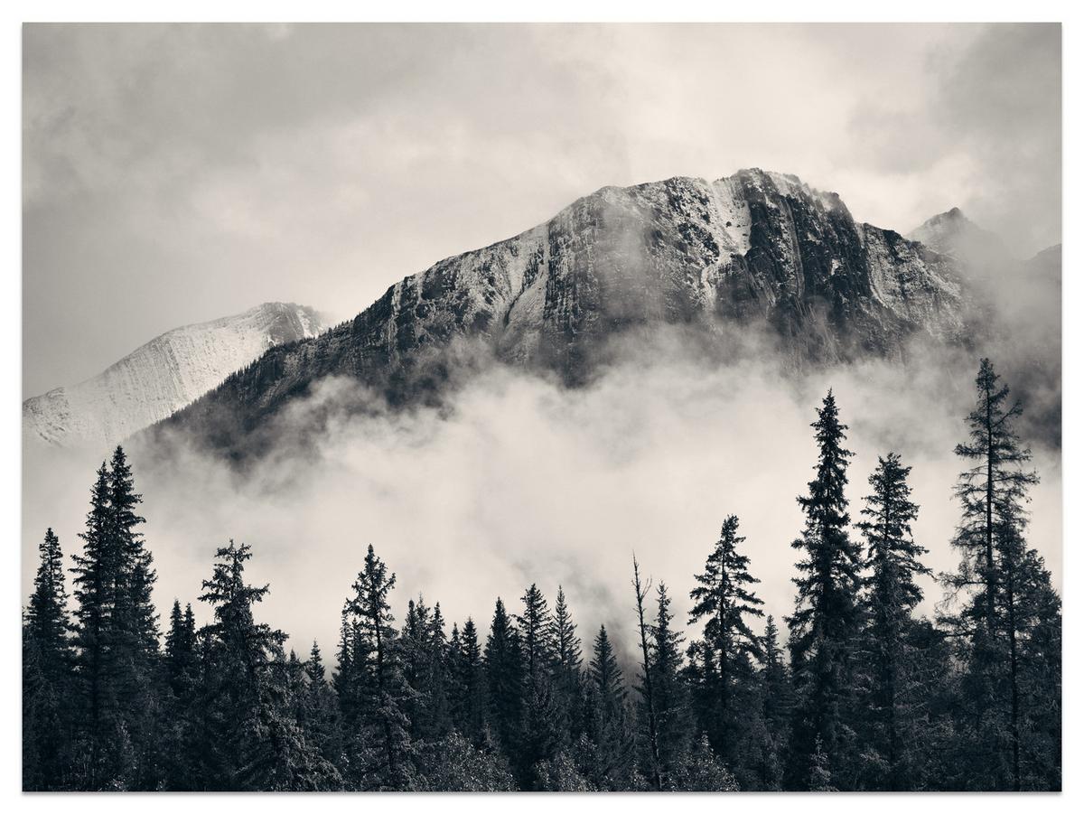 FOTOTAPETE für Wohnzimmer Nadelwald im Nebel im Hintergrund Berge 300x210 - Beige/Schwarz, Papier (300/210cm) - Muralo