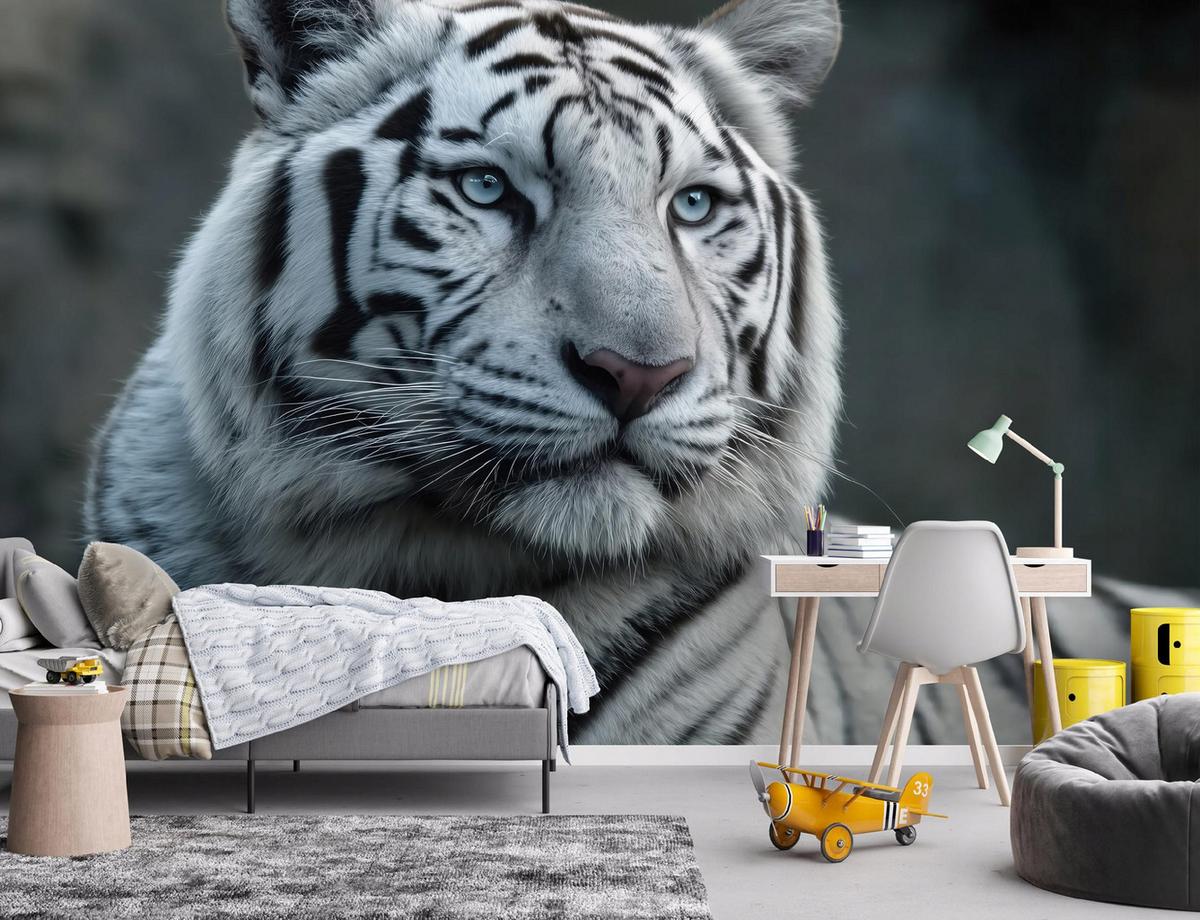 FOTOTAPETE Tiger Tiere Weiß 350x250 cm - Multicolor, Papier (350/250cm) - Wallarena