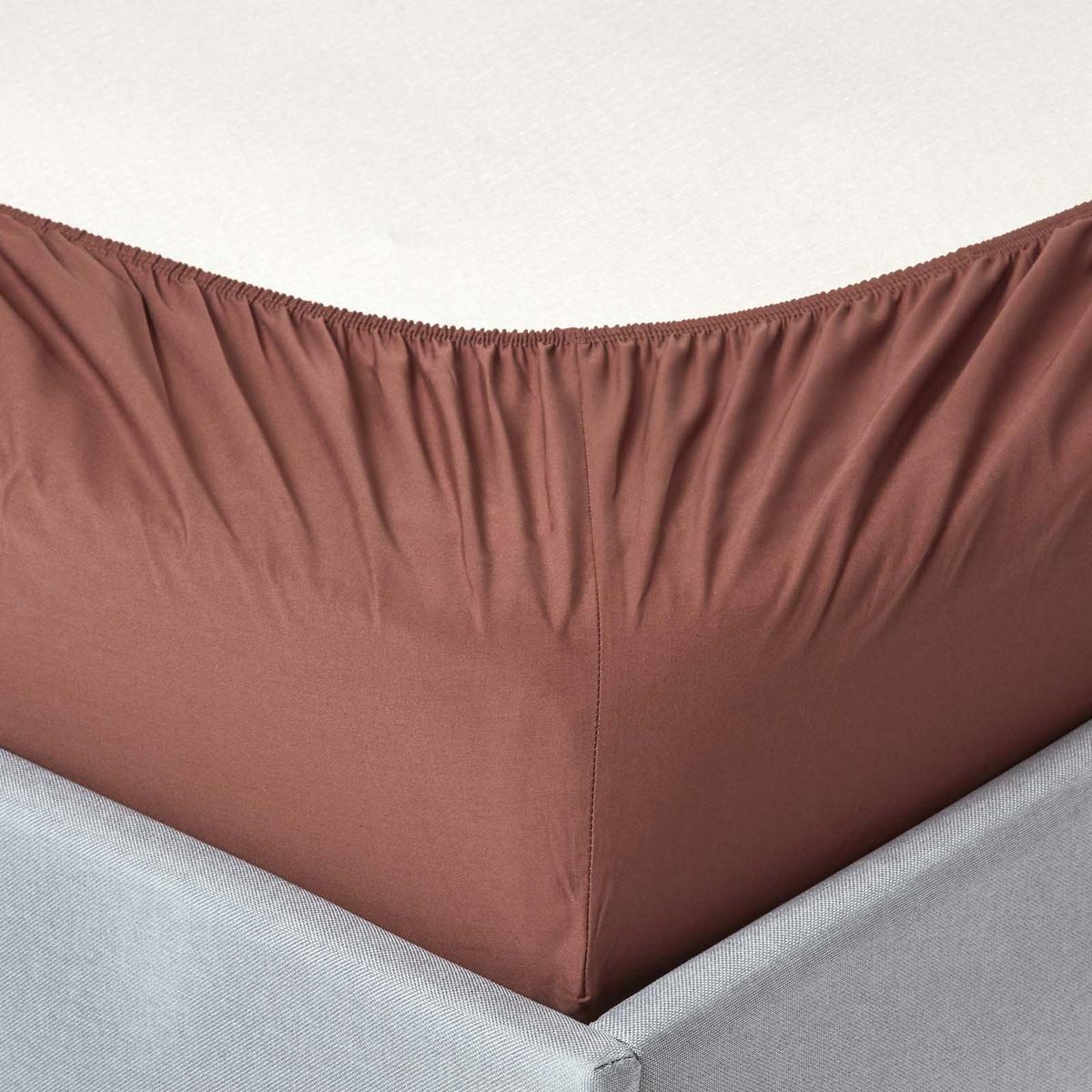 PERKAL-SPANNBETTLAKEN, Ägyptische Baumwolle, Fadendichte 200 - Braun, Textil (140/200cm) - Homescapes
