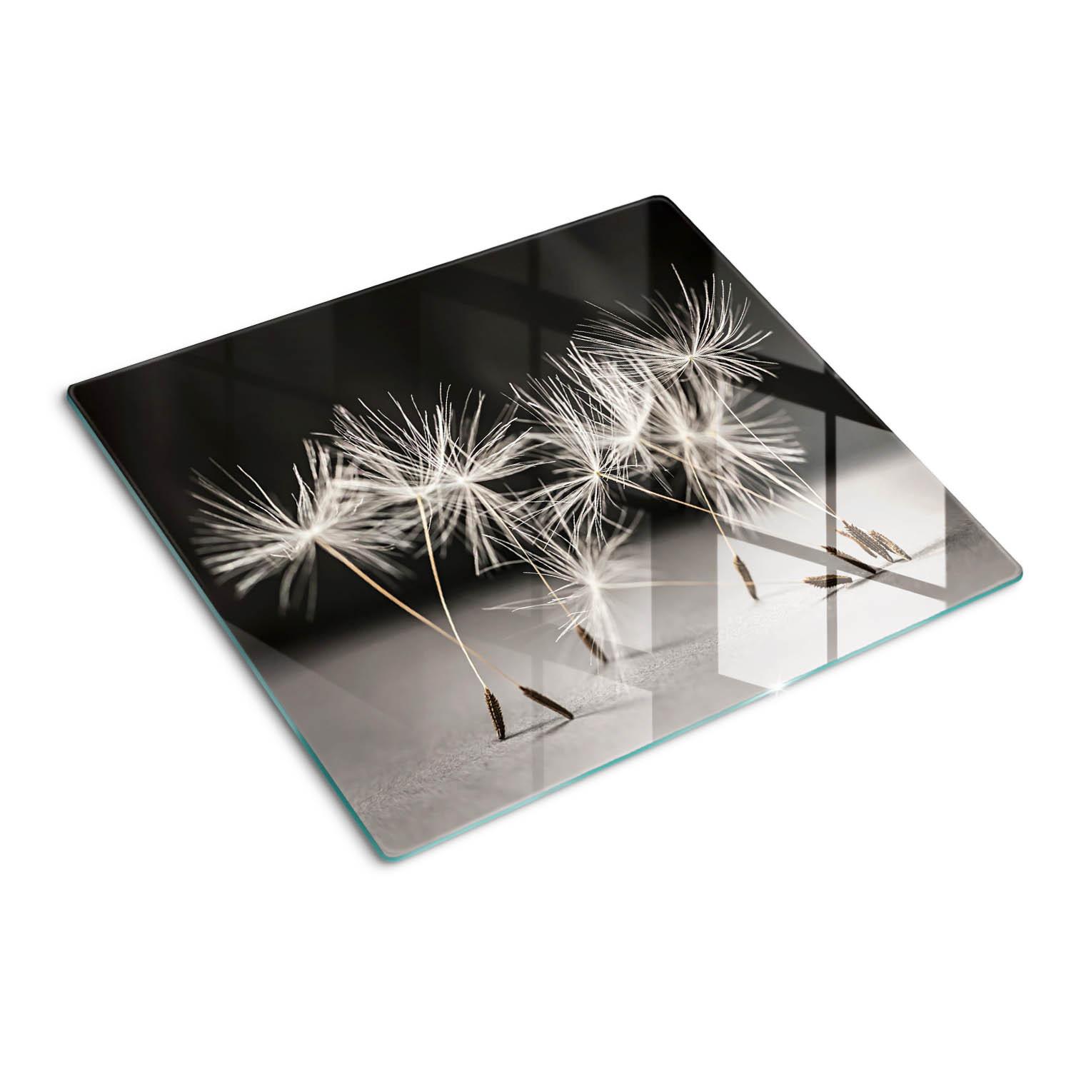 GLASPLATTE 60x52 cm Löwenzahn - Schwarz, Glas (60/0.4/52cm) - TULUP