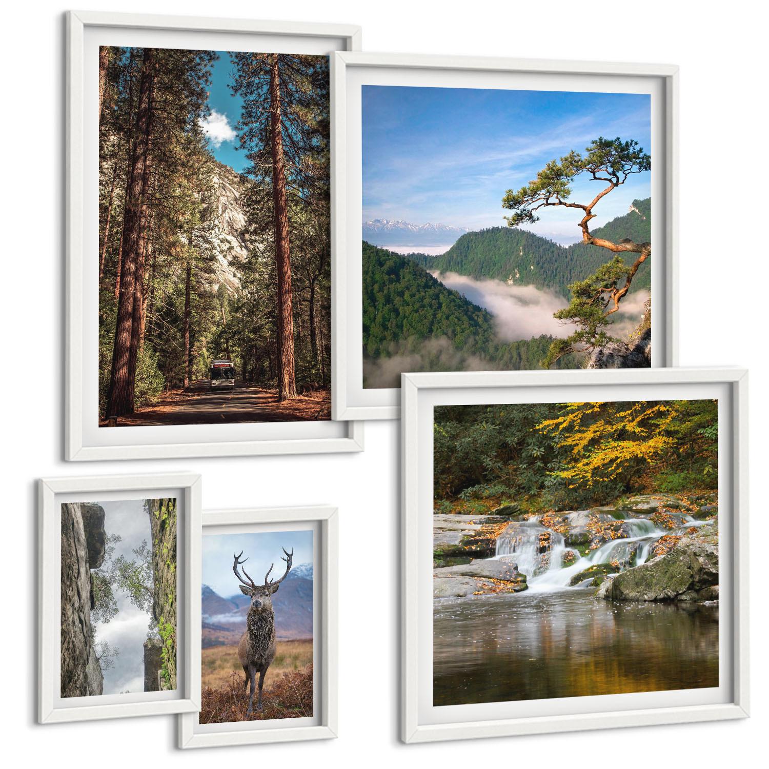 BILDER SET 5er Set - 50x50 cm & 20x30 cm & 40x60 cm Weißer Rahmen - Wasserfall Wald Berge Hirsch Natur - Weiß, Kunststoff (40/60cm) - TULUP