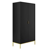 SCHRANK 2 Türen Seattle Schwarz - Schwarz, Holzwerkstoff (100/205.4/55cm) - Petits-meubles