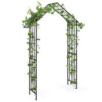 GARTENBOGEN Schwarz - Schwarz, Metall (140/223/40cm) - COSTWAY