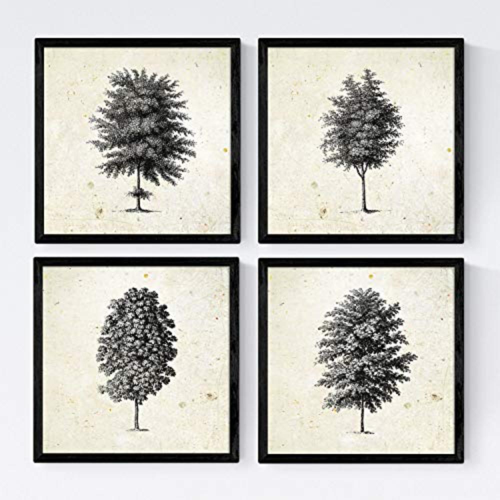 POSTER Set mit 4 Blättern der Baumstamm in feinen, weißen 20x20cm Schwarzer Rahmen - Schwarz, Papier (20/3cm) - Nacnic