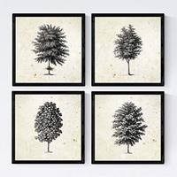 POSTER Set mit 4 Blättern der Baumstamm in feinen, weißen 20x20cm Schwarzer Rahmen - Schwarz, Papier (20/3cm) - Nacnic