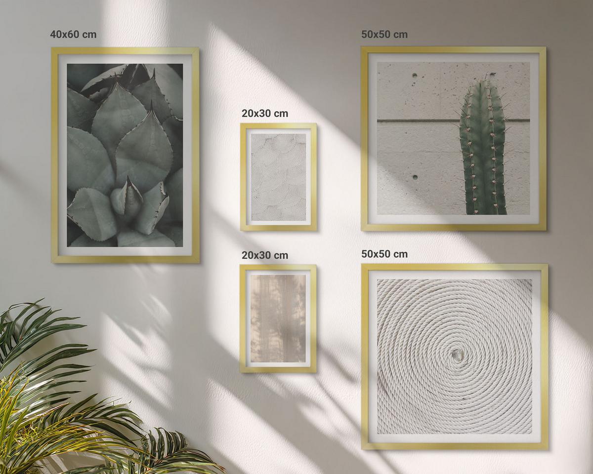 BILDER SET 5er Set - 50x50 cm & 20x30 cm & 40x60 cm Goldrahmen - Sommerliche Texturen aus den Tropen - Goldfarben, Kunststoff (40/60cm) - TULUP