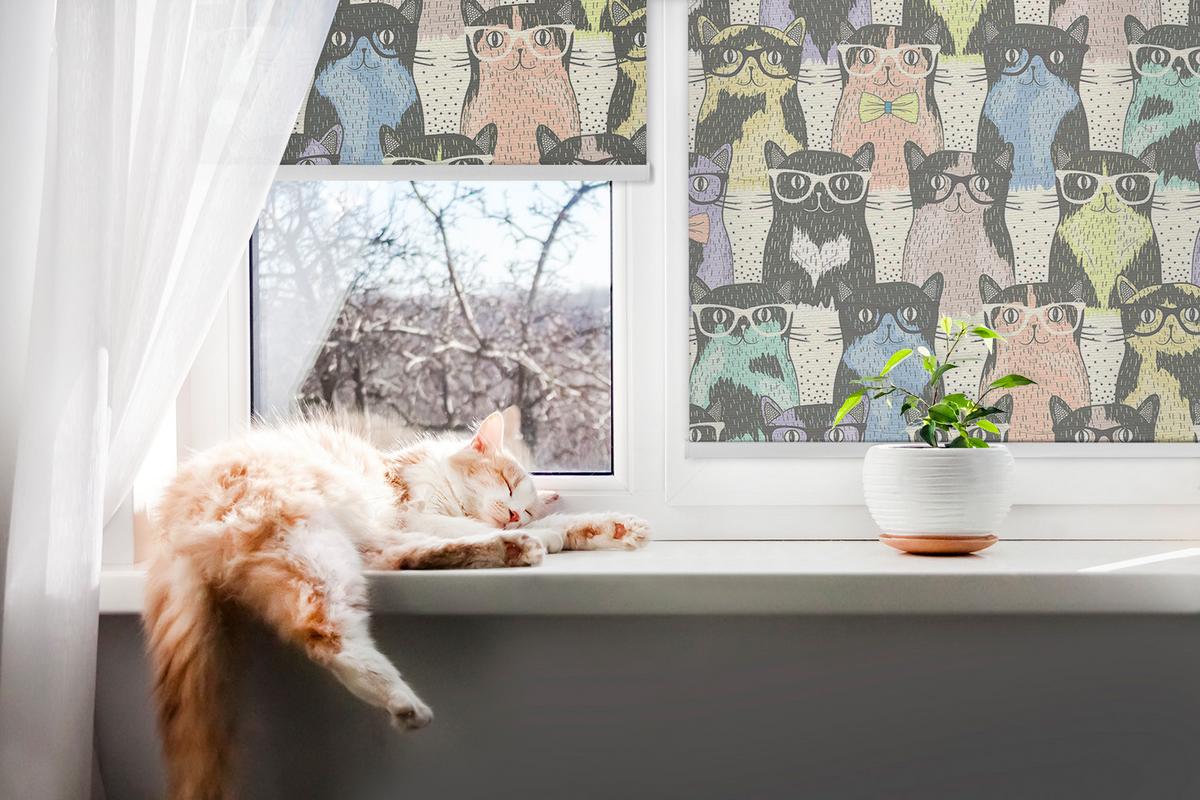 INNENROLLO - Fensterrollo - Rollo - 100x100 cm - Katzen - Gelb, Kunststoff (100/100/0.5cm) - TULUP