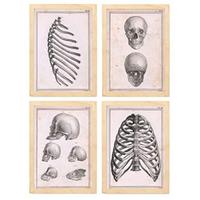 POSTER Set mit 4 Anatomie von Knochen, Rippen und Kopf A4 Rahmen aus hellem Holz - Beige, Papier (29.7/3cm) - Nacnic