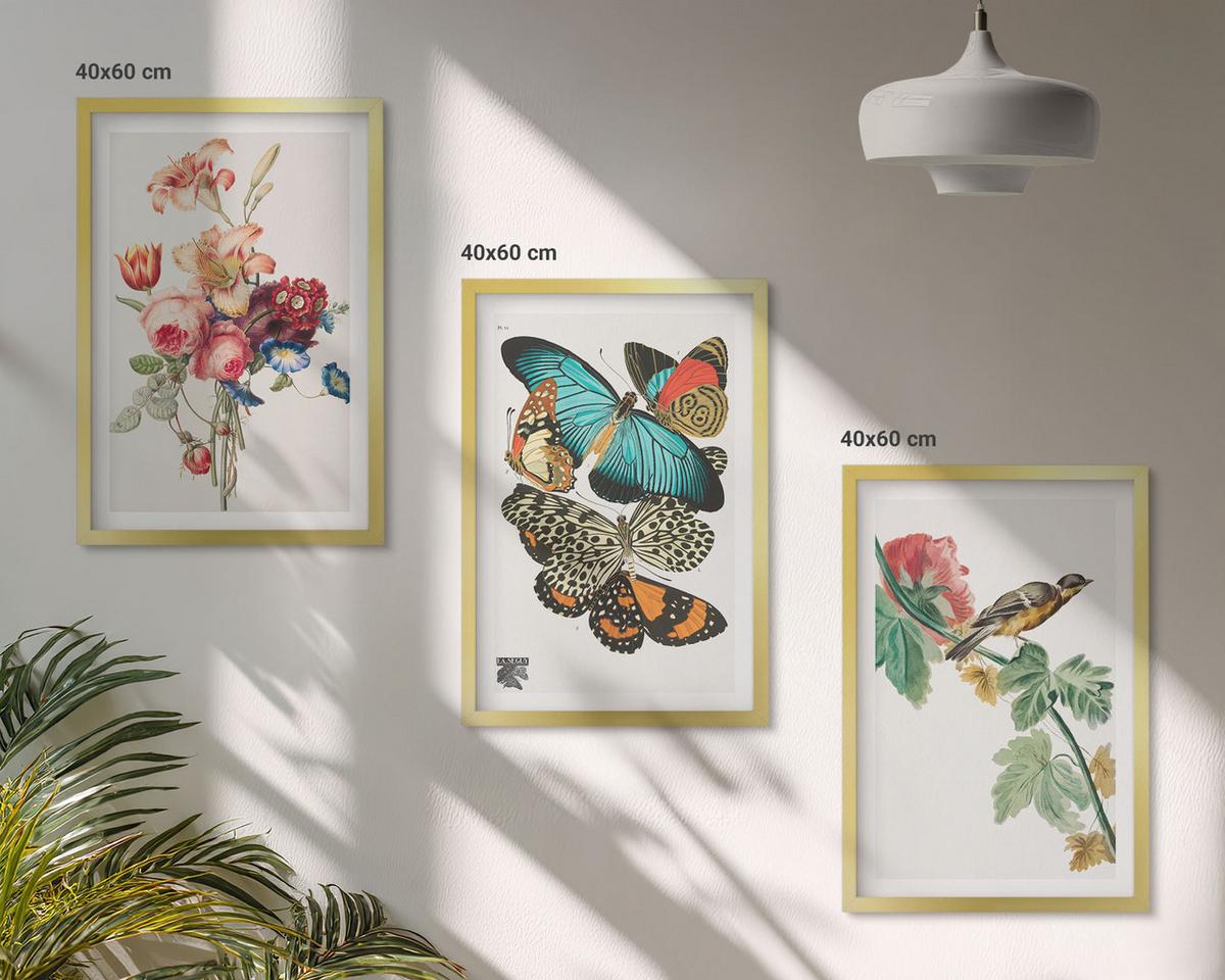 BILDER SET 3er Set - 40x60 cm Goldrahmen - Blumen, Schmetterlinge, Vögel, Pastellfarben - Goldfarben, Kunststoff (40/60cm) - TULUP