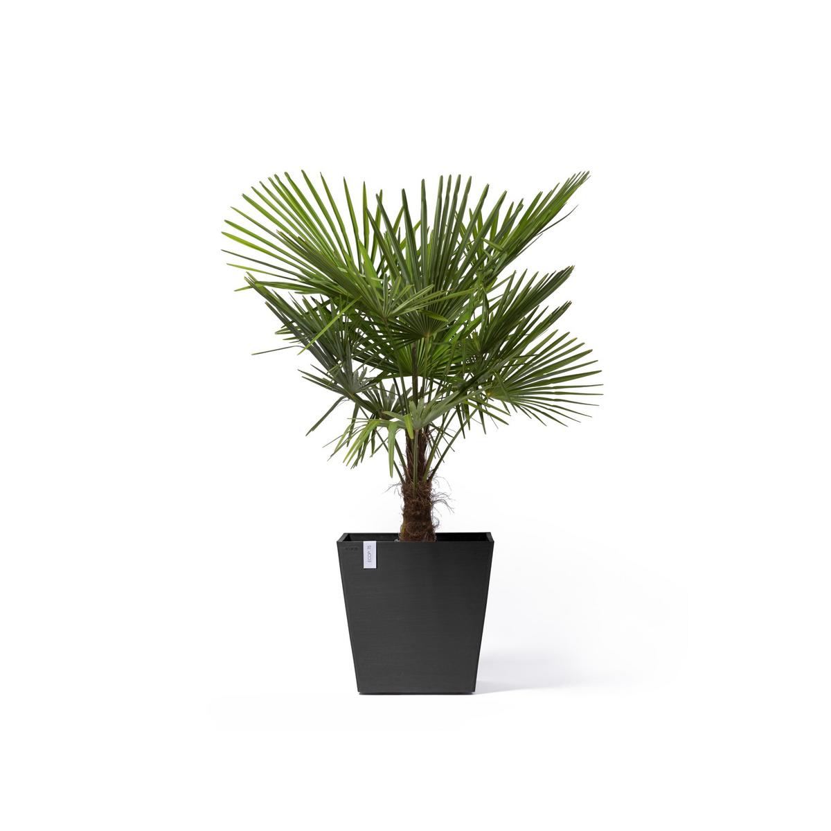 BLUMENTOPF Rotterdam Wheels 50,2/50,2/49,5 cm Dunkelgrau - Dunkelgrau, Kunststoff (50.2/49.5cm) - Ecopots