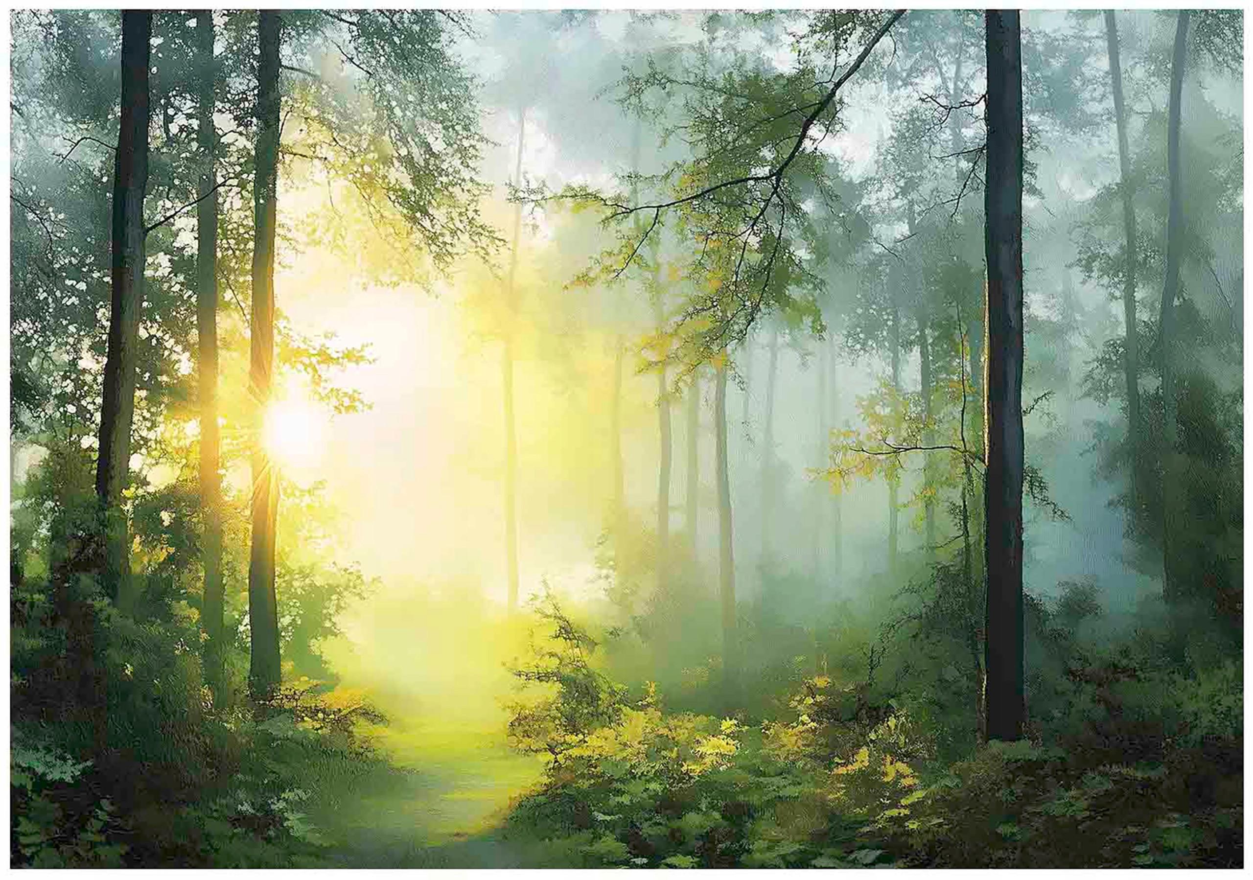 FOTOTAPETE 3D Effekt Wald Sonne Wohnzimmer 300x210 - Multicolor, Papier (300/210cm) - Wallarena