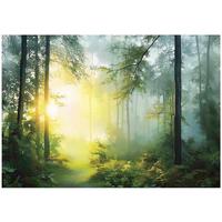 FOTOTAPETE 3D Effekt Wald Sonne Wohnzimmer 300x210 - Multicolor, Papier (300/210cm) - Wallarena