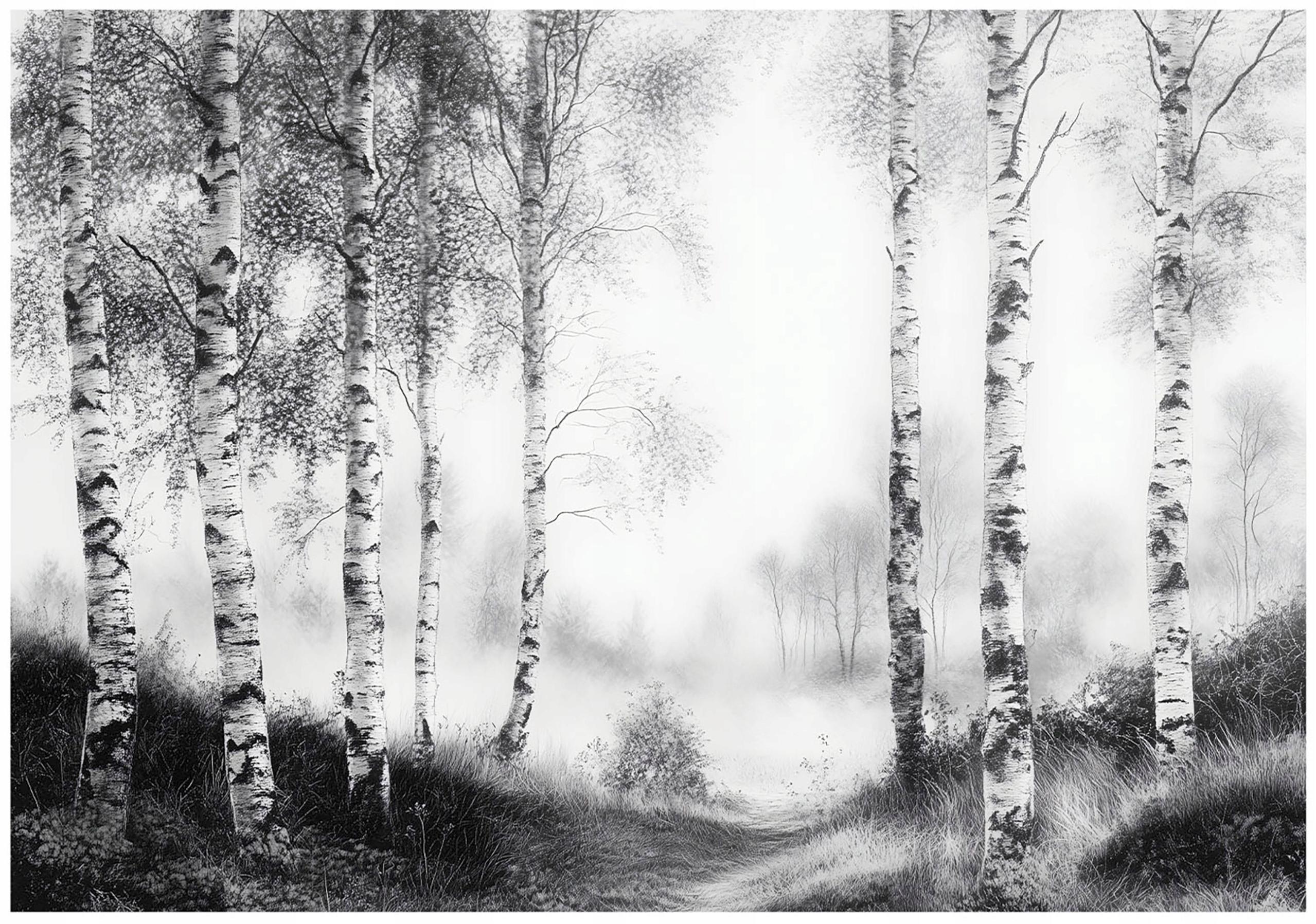 FOTOTAPETE Wald Schwarz Weiß Vlies Tapete Wohnzimmer Schlafzimmer 250x175 - Grau, Papier (250/175cm) - Wallarena