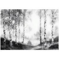 FOTOTAPETE Wald Schwarz Weiß Vlies Tapete Wohnzimmer Schlafzimmer 150x105 - Grau, Papier (150/105cm) - Wallarena
