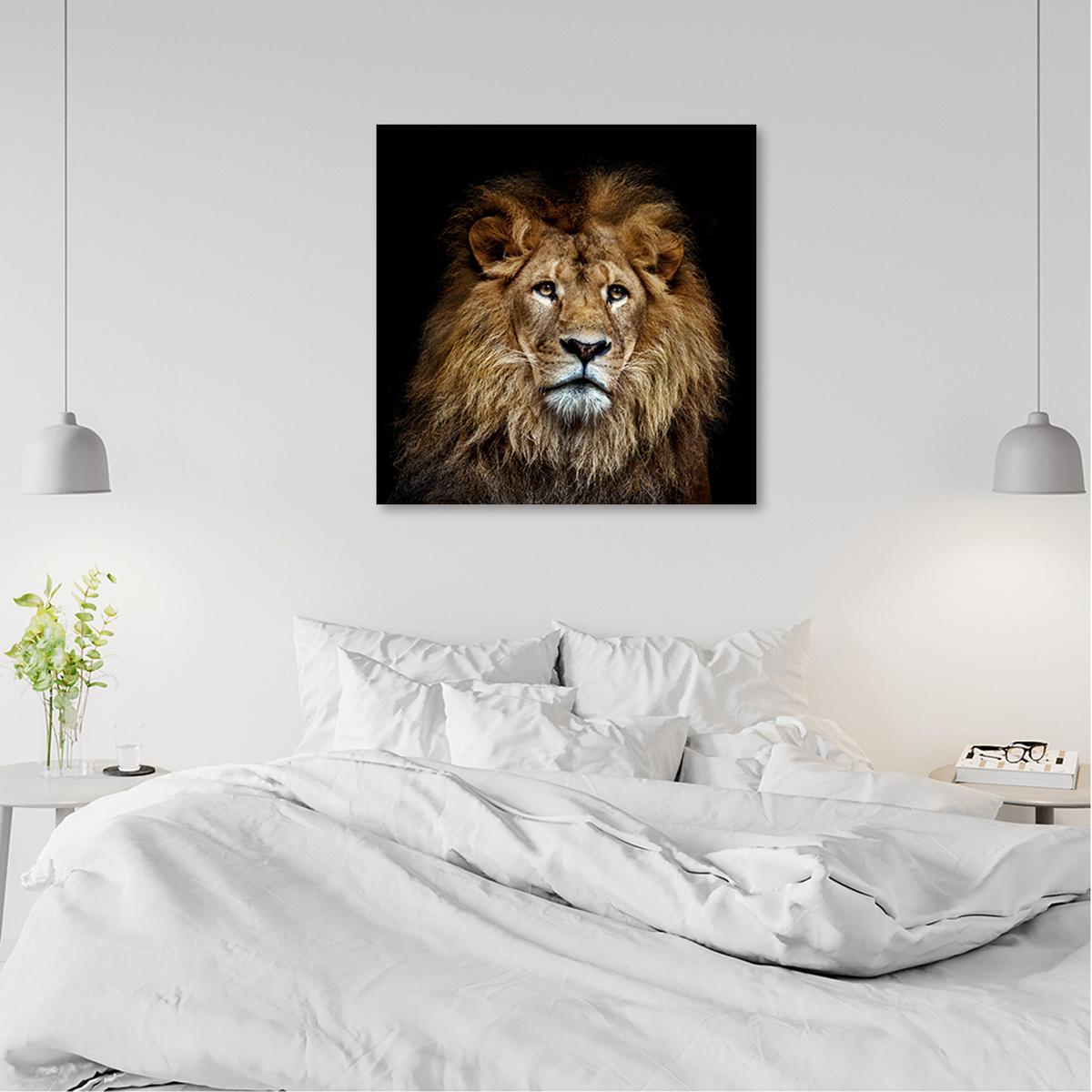 WANDBILD majestätischer löwe - Beige, Textil (50/50cm) - Feeby