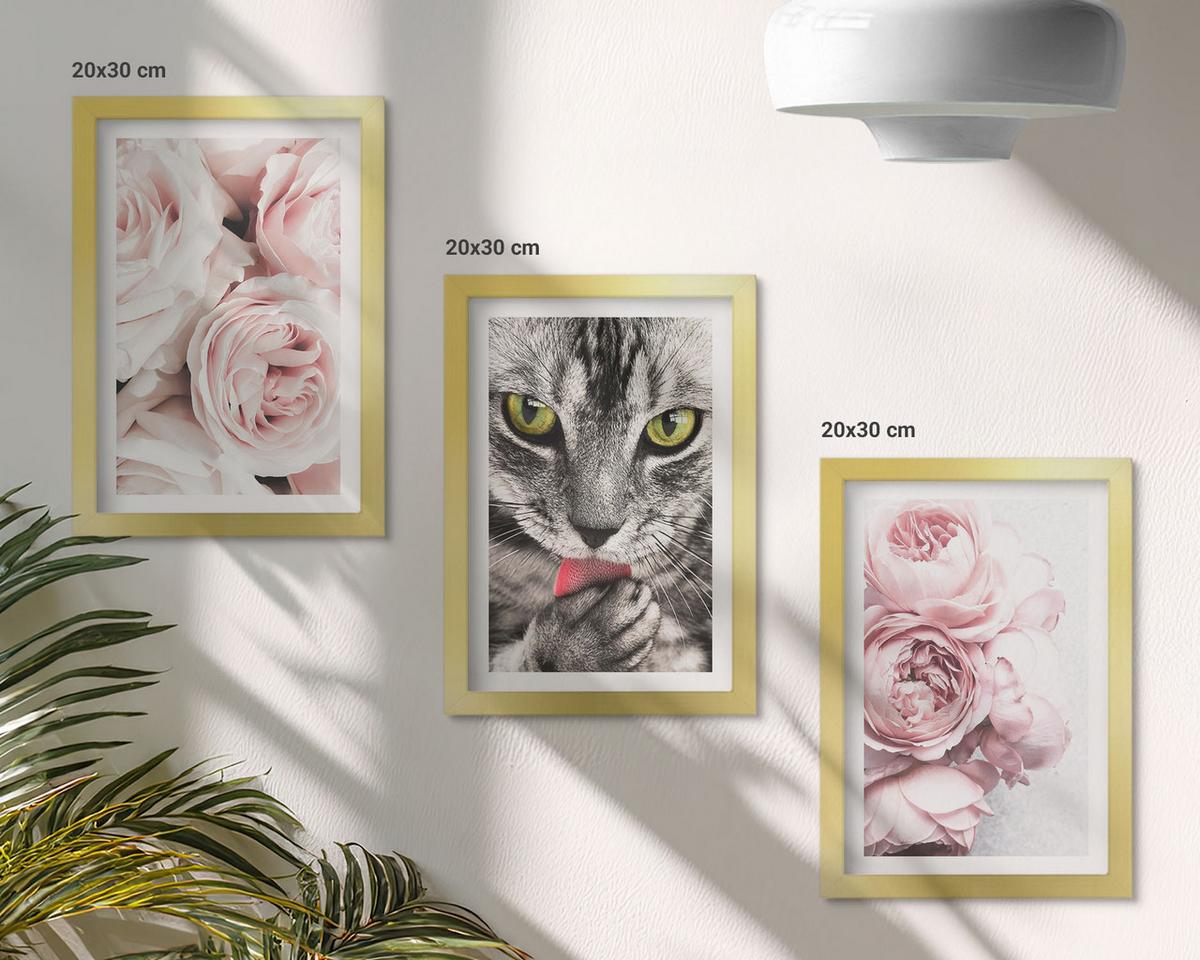 BILDER SET 3er Set - 20x30 cm Goldrahmen - Katze in rosa Blumen - Goldfarben, Kunststoff (20/30cm) - TULUP
