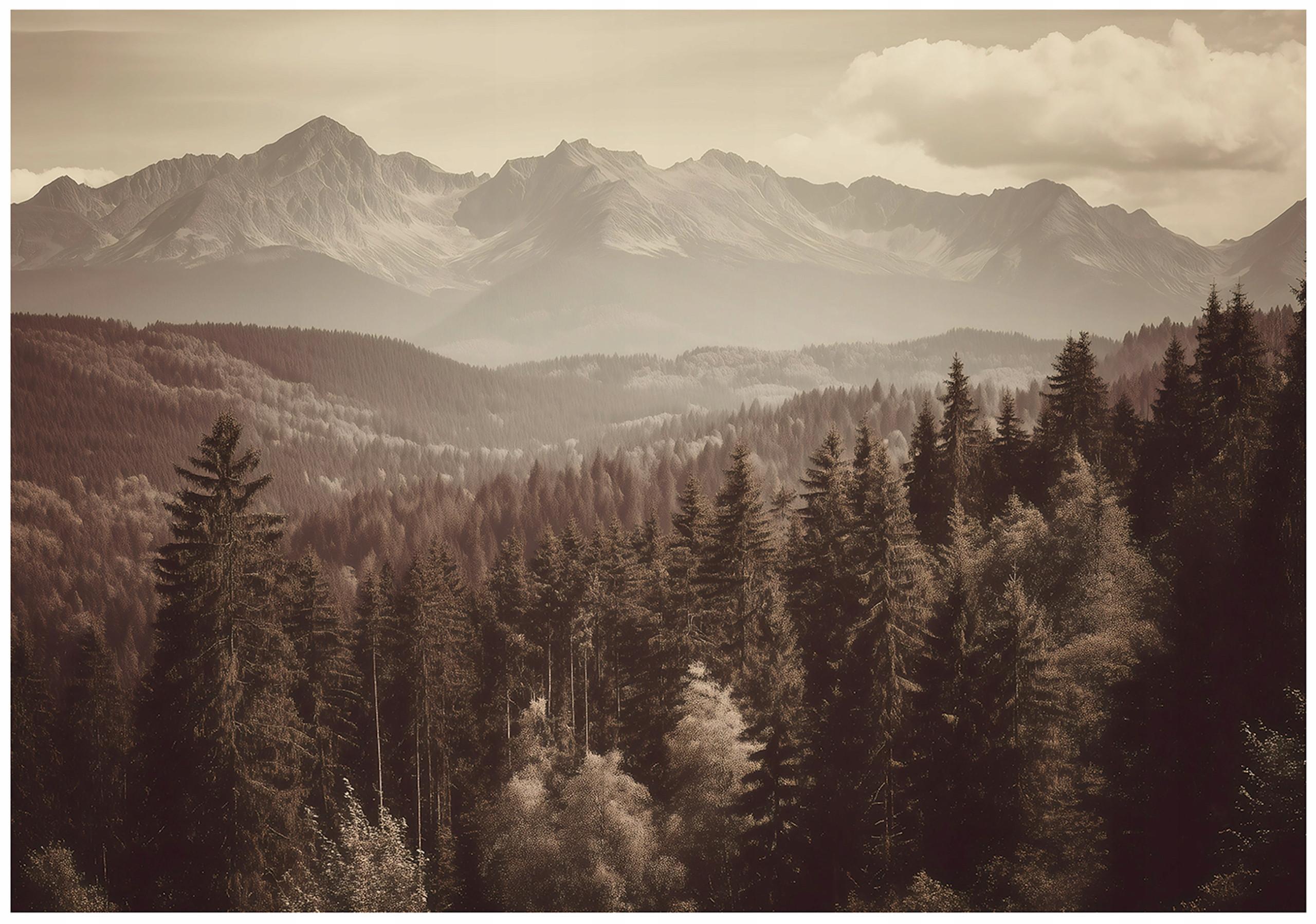 FOTOTAPETE Wald Natur Braun 400x280 cm - Multicolor, Papier (400/280cm) - Wallarena