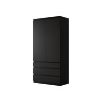 DREHTÜRENSCHRANK Malwa 2D3SZ - Schwarz, Holzwerkstoff (52/202/100cm) - MIRJAN24