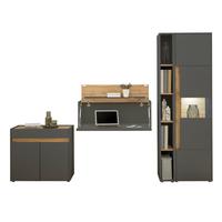 AKTENSCHRANK Set 4-teilig grau matt, Eiche Wotan 290 cm, Büromöbelkombination mit Sekretär und viel Stauraum - Eiche Wotan/Schwarz, Glas/Holzwerkstoff (290/200/40cm) - Furn.Design