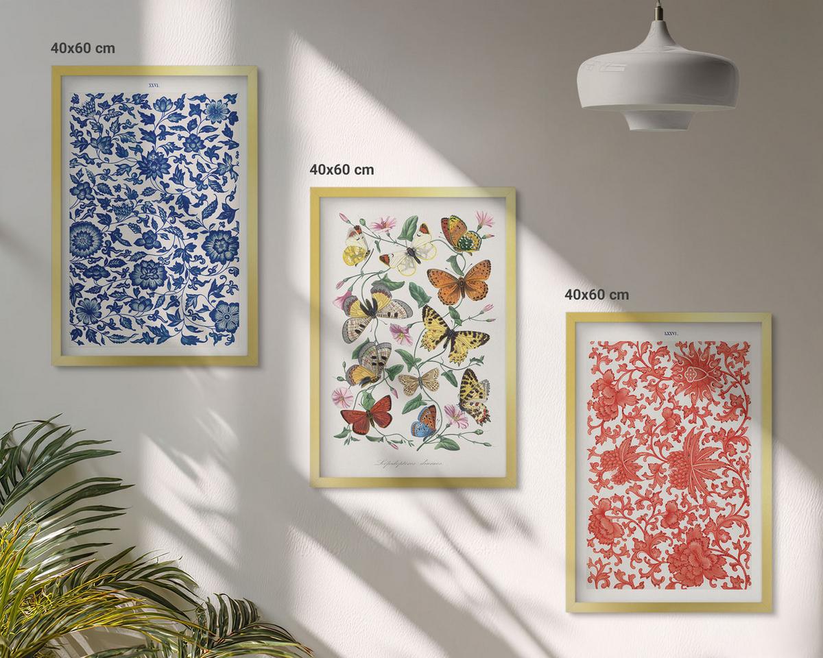 BILDER SET 3er Set - 40x60 cm Goldrahmen - Vintage-Blumen-Schmetterlings-Ornamente - Goldfarben, Kunststoff (40/60cm) - TULUP