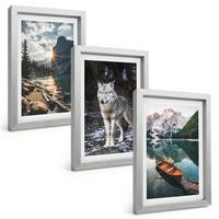 BILDER SET 3er Set - 20x30 cm Silberner Rahmen - Berge, Seen, Wölfe, Natur - Silberfarben, Kunststoff (20/30cm) - TULUP