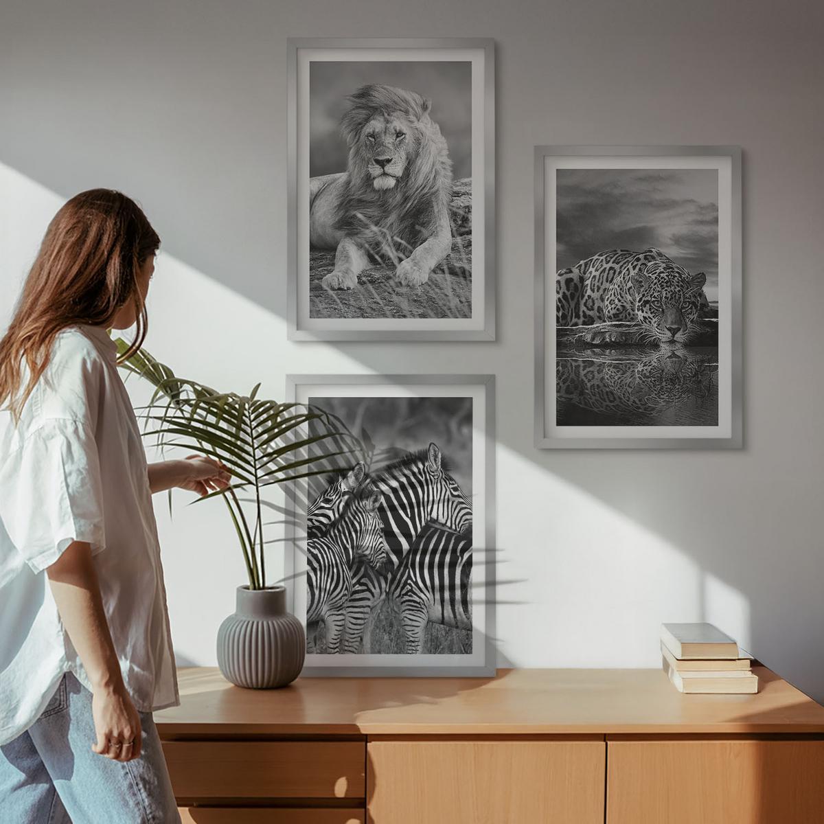 BILDER SET 3er Set - 40x60 cm Silberner Rahmen - Wildtiere der Savanne - Silberfarben, Kunststoff (40/60cm) - TULUP