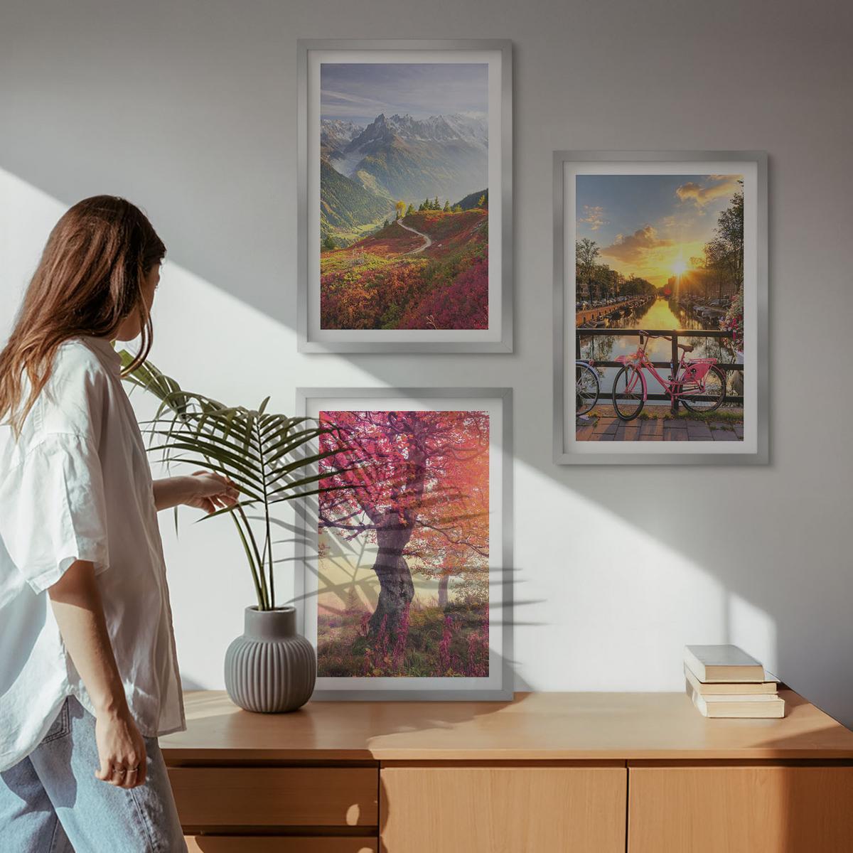 BILDER SET 3er Set - 40x60 cm Silberner Rahmen - Berglandschaften mit dem Fahrrad - Silberfarben, Kunststoff (40/60cm) - TULUP