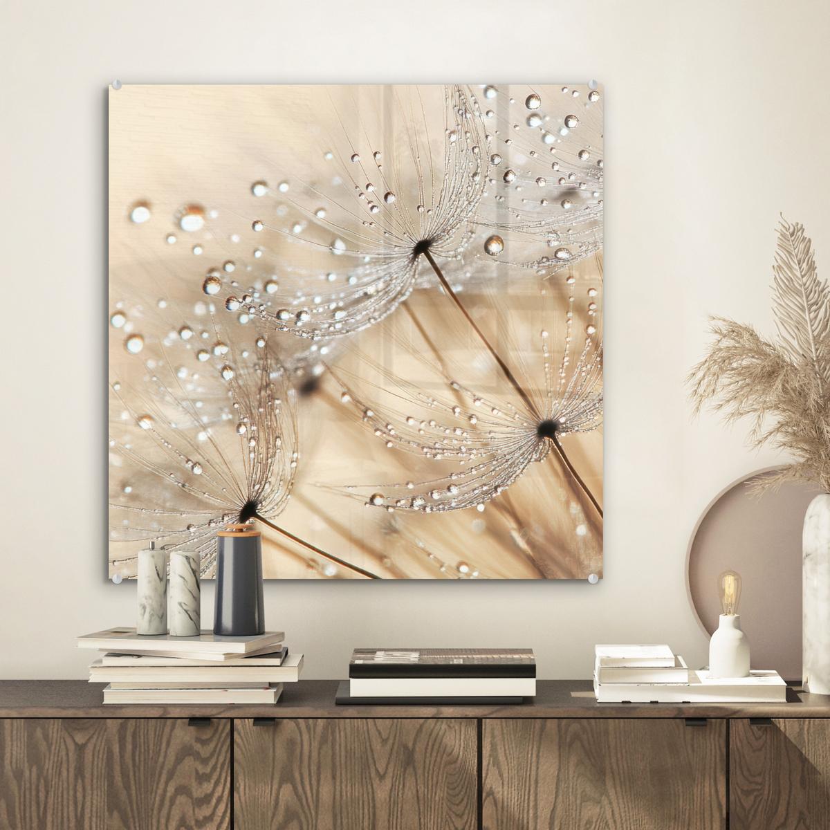 ACRYLGLASBILD Löwenzahn - Abstrakt - Natur - Beige 50x50 cm - Braun, Glas (50/50cm) - MuchoWow