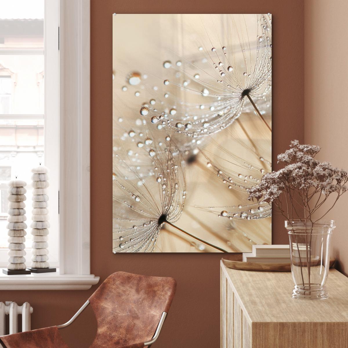 ACRYLGLASBILD Löwenzahn - Abstrakt - Natur - Beige 80x120 cm - Braun, Glas (80/120cm) - MuchoWow