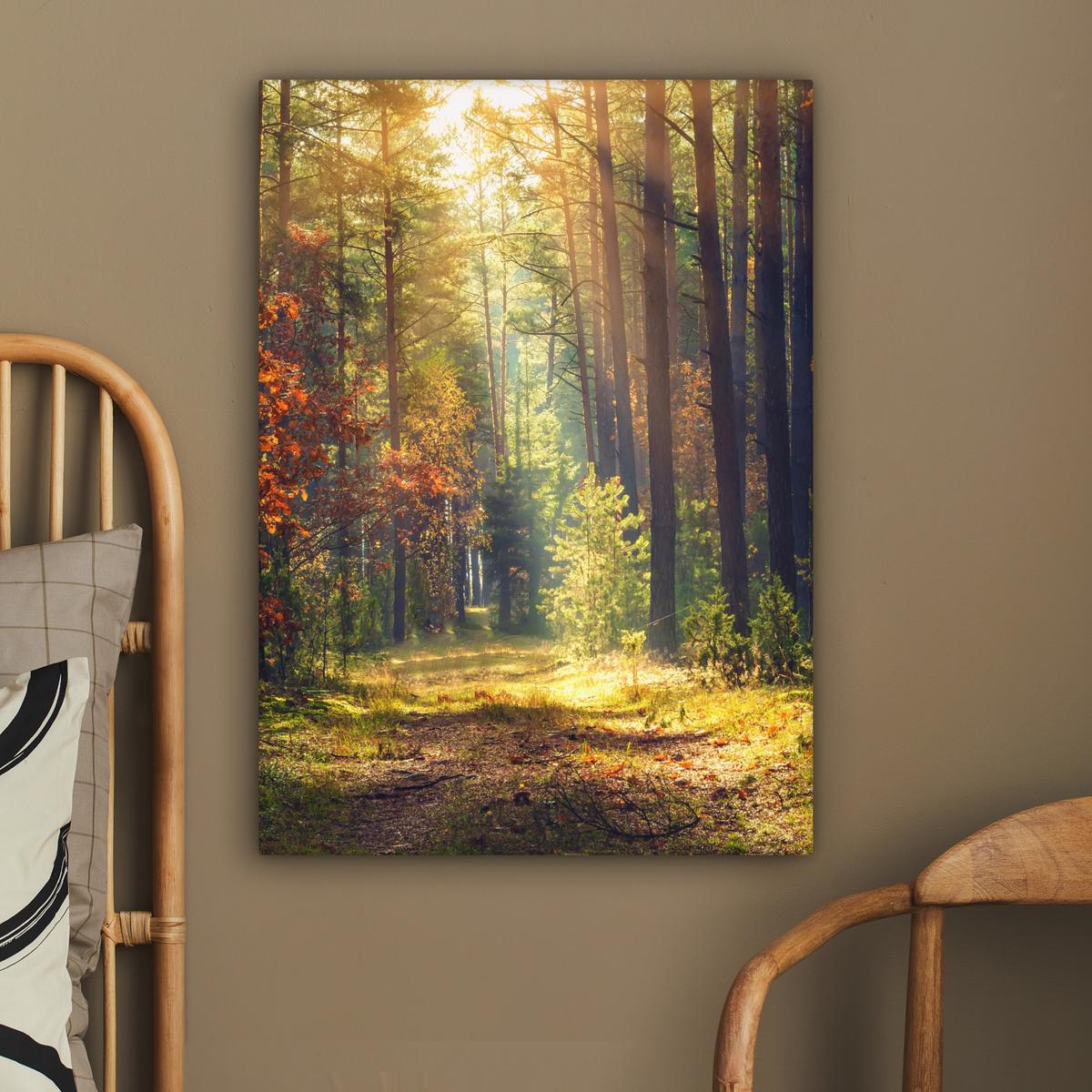 LEINWANDBILD Wald - Herbst - Bäume Wandbild Wohnzimmer 60x80 cm - Dunkelgrün, Textil (60/80cm) - MuchoWow