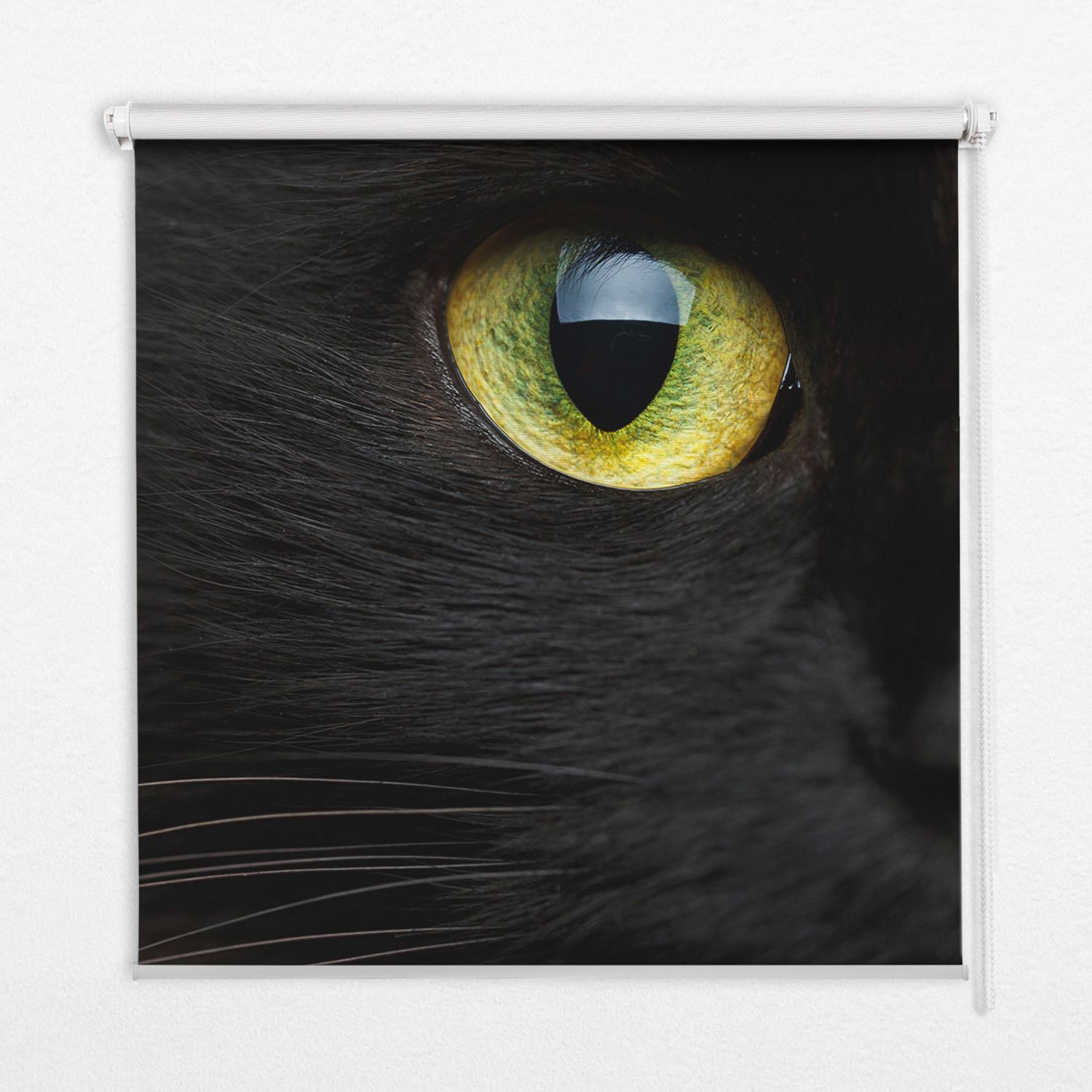 INNENROLLO - Fensterrollo - Rollo - 100x180 cm - Katzenaugen - Schwarz, Kunststoff (100/180/0.5cm) - TULUP