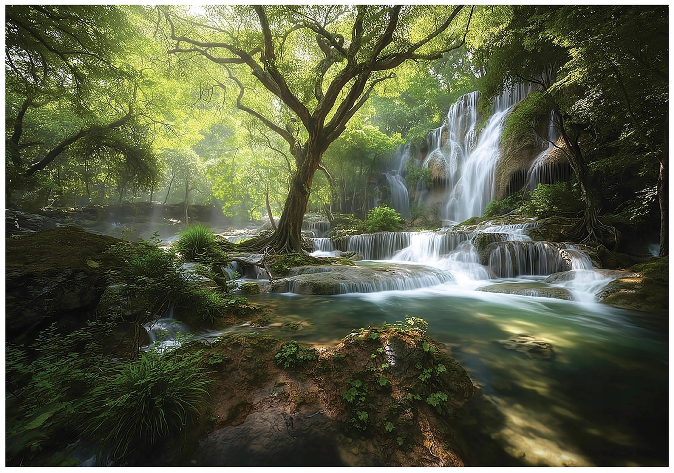 FOTOTAPETE Wald Wasserfall Grün 150x105 cm - Multicolor, Papier (150/105cm) - Wallarena