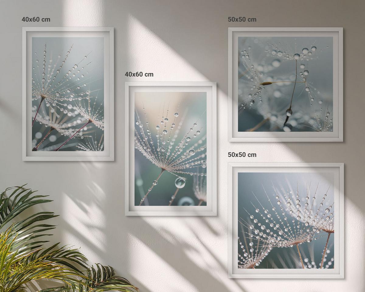 BILDER SET 4er Set - 50x50 cm & 40x60 cm Weißer Rahmen - Wassertropfen auf Löwenzahnsprossen - Weiß, Kunststoff (50/50cm) - TULUP