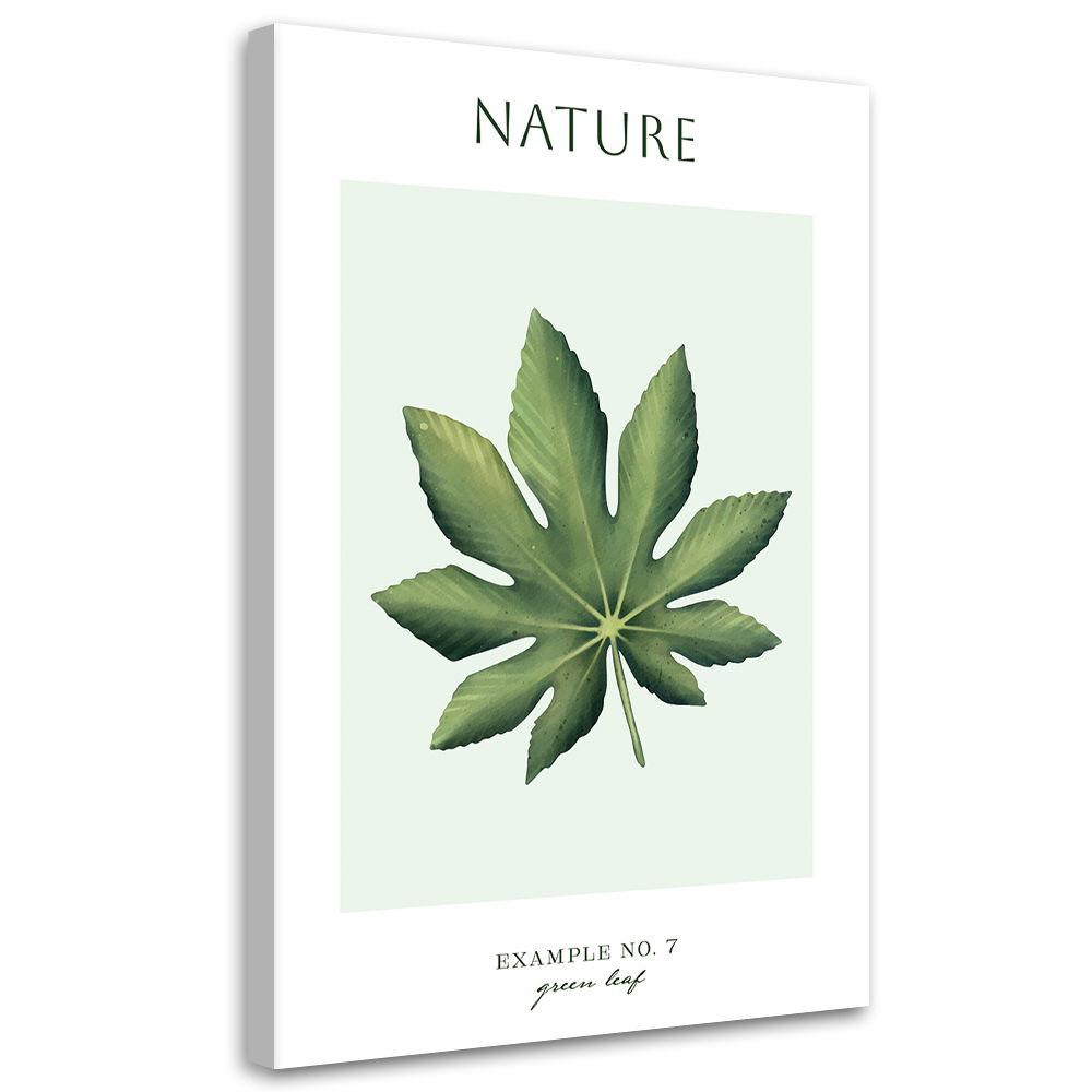 KUNSTDRUCK Grün 70/100 cm - Grün, Textil (70/100cm) - KUNSTLOFT